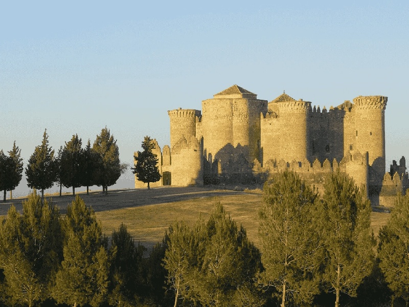 李先生夫妇成功案例